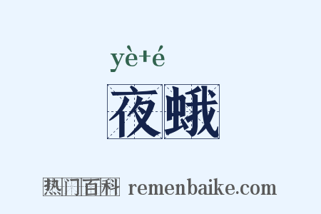 夜蛾是什么意思的图片